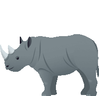 a rhinoceros is standing on a white background