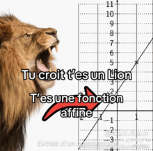a picture of a lion with the words tu croit t 'es un lion t 'es une fonction afffine