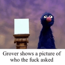 elmo from sesame street shows a picture of who the fuck asked
