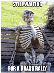 a skeleton is sitting on a wooden bench with the words still waiting for a grass rally below it