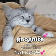 a cat laying on a bed with a message that says goognite i sleep now you sleep soon pls nattakoz