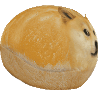 a dog that looks like a bread loaf