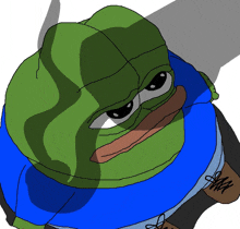 a green frog wearing a blue shirt has a sad face