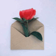 a brown envelope with a red flower in it