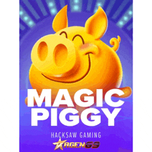 a poster for a game called magic piggy with a pig on it