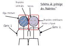 a diagram of a person with branches centrales and verres