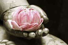 a statue of a hand holding a pink lotus flower