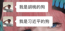 a woman with pink hair has a speech bubble that says ' 我 是 胡 桃 的 狗 '