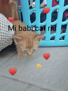 a kitten is surrounded by red hearts and the words mi babicat ru