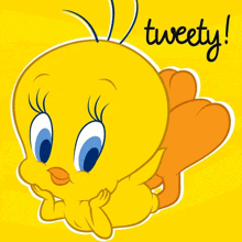 a tweety bird with a yellow background and the word tweety below it