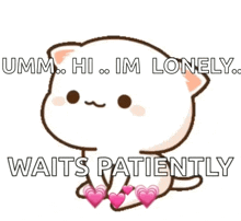 a cartoon cat with hearts on its paws says umm hi im lonely waits patiently