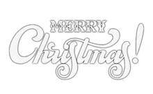 the word merry christmas is written in white