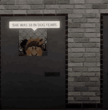 a brick wall with a door that says she was 18 in dog years above it