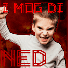 a boy with a very angry look on his face and the words i mog di ned behind him