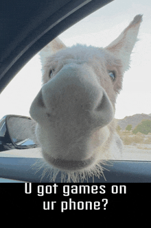 a donkey looking out of a car window with the text u got games on ur phone