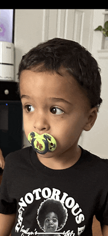 a little boy with a pacifier in his mouth wears a notorious shirt