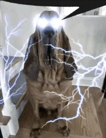 a picture of a dog with lightning coming out of its eyes