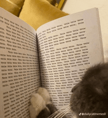 a book is open to a page that says meow meow meow meow meow meow