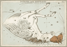 a drawing of a horse laying on its back in the constellation of pegasus and equuleus .