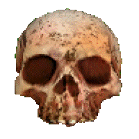 a skull with a white background and a few spots on it