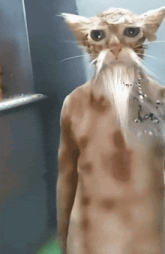 a naked cat with a beard and a necklace around its neck