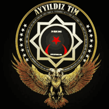 a logo for ayyildiz tim with an eagle in the middle