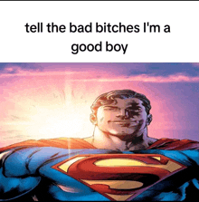 a cartoon of superman with the words tell the bad bitches i 'm a good boy