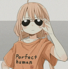 a girl wearing sunglasses and a t-shirt that says perfect human