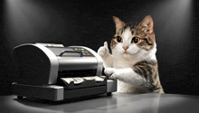 a cat giving a thumbs up in front of an office printer