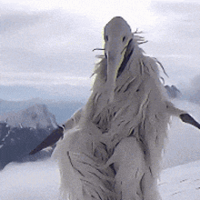 a person dressed as a bird with a long beak is standing in the snow