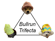 a triangle with a dog 's head in it and the words bullrun trifecta