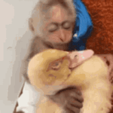 a monkey is holding a stuffed duck in its arms