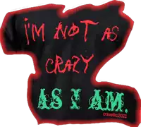 a black shirt that says ' i 'm not as crazy as i am '