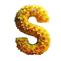 the letter s is made out of yellow flowers and has the letters abc on it