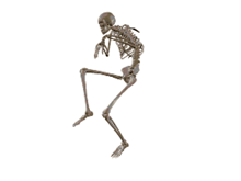 a skeleton is walking on a white background with its arms outstretched