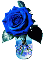 a blue rose sits in a glass vase with hearts on it