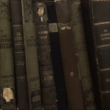 a row of books including de levende natuur