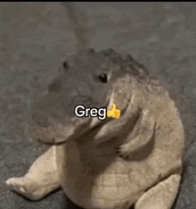 a stuffed alligator is giving a thumbs up and the name greg is on it .