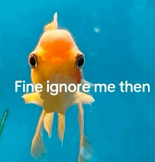 a goldfish is swimming in a blue tank with the words `` fine ignore me then '' below it .