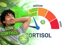 a man laying in a hammock with low cortisol written on the bottom