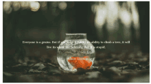 a picture of a fish in a bowl with a quote by albert einstein on it