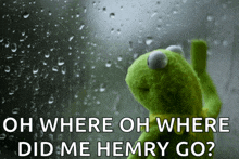 kermit the frog looking out a window with the words " oh where oh where did me hemry go " on the bottom