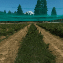 a blurred picture of a field with trees and a mountain in the background