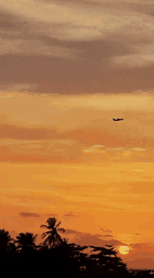 a plane is flying over a sunset sky with palm trees in the foreground