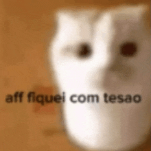 a close up of a cat 's face with the words aff fiquei com tesão written on it .