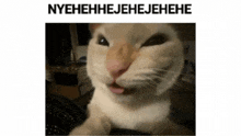 a cat is making a funny face with its tongue sticking out and the words nyehehhejehejehehe below it