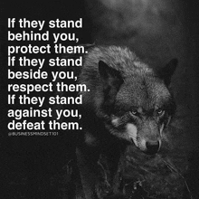 a black and white photo of a wolf with a quote behind it