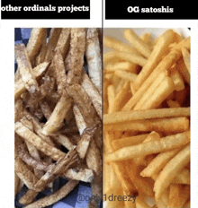 a picture of french fries next to a picture of french fries with the words other ordinals projects and og satoshis