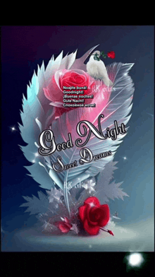 a good night sweet dreams greeting card with a rose and feather