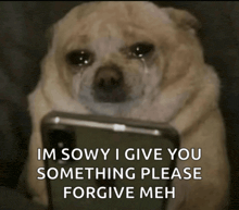 a dog is crying while looking at a cell phone with the words im sowy i give you something please forgive meh below it
